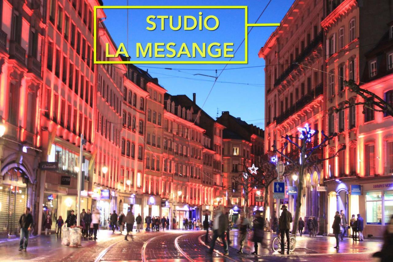 Studio La Mesange Straßburg Exterior foto